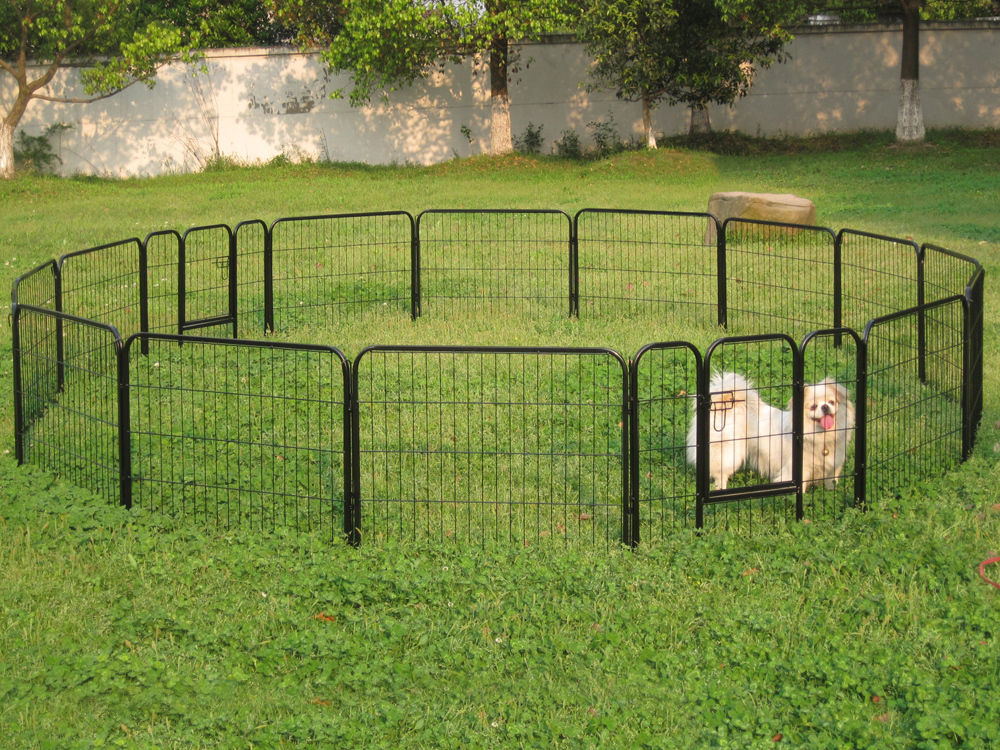 Types of Backyard Fences For Your Pet - Backyard Sports