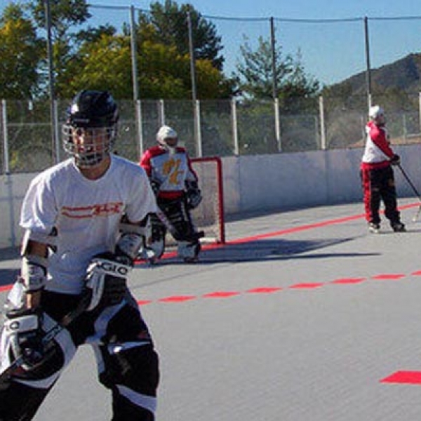 Roller Hockey Backyard Sports