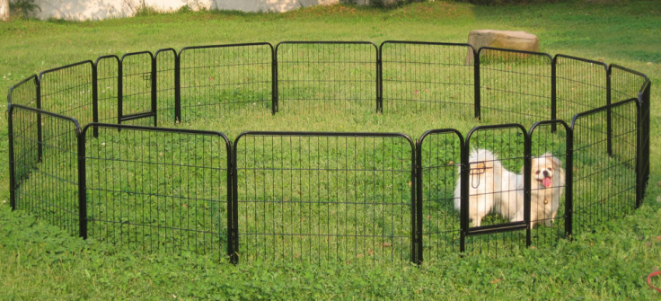 Types of Backyard Fences For Your Pet - Backyard Sports